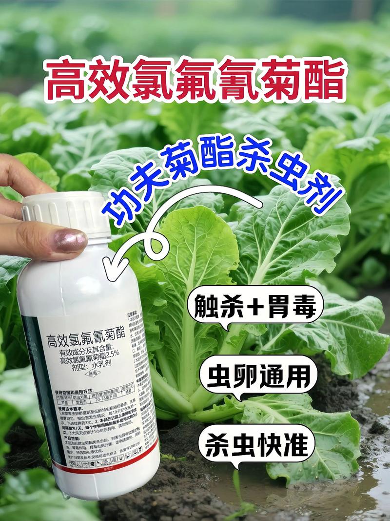 鞍山代生中心:农药对供卵代生妈妈的危害